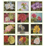 2027 AGENDA BEAUTY IN BLOOM