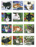 2025 CALENDAR CAT'S MEOW