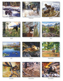 2025 CALENDAR WINDOW ON WILDLIFE