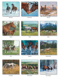 2025 CALENDAR HOOFBEATS