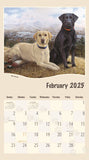 2025 CALENDAR MUST LOVE DOGS