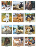 2025 CALENDAR MUST LOVE DOGS
