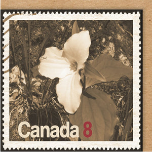 CARD CANADA TRILLIUM