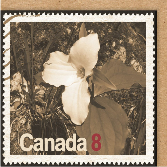 CARD CANADA TRILLIUM